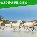 Le Palais Maya - Lumineux - Wifi