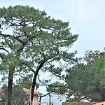 Studio Duplex Arcachon