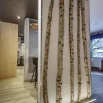 Apartment Sierra