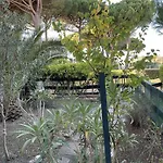 Appartement Rdc A Port Camargue - 6 Couchages, Acces Direct Plage, Parking, Jardin - Fr-1-250-263