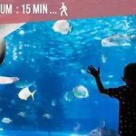 Ღ Marche Central • Au Coeur De Ville & Spacieux