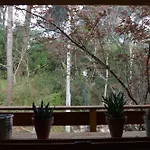 La Cabane Du Truquet
