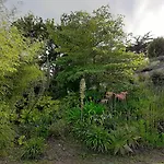 Belle Villa 4 Etoiles Avec Jardin, Wifi A 600M De La Plage A Tregastel - Ref 137