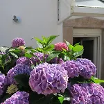 Maison De Charme Entierement Renovee Avec Wifi A 200M Du Centre De Perros-Guirec Ref 935