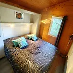 Chalet Climatise Avec Piscine Chauffee Et Parking Dans Une Pinede Calme - Fr-1-607-64