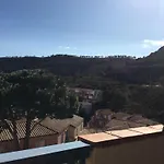 Acacia