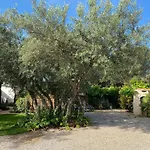 Les Gites De La Pinede