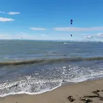 La Petite Camargue