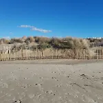 La Petite Camargue