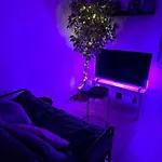 Studio Cozy Saint-Malo