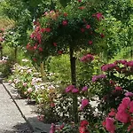 Domaine Les Rousselieres
