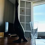 Ap 40 - 