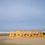 Appartement Biscarrosse Plage Front De Mer 4 Personnes