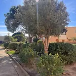 Appartement 4 Pers Port Leucate Residence Les Sablons 3