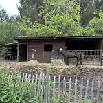 Propriete Entre Foret Et Ocean