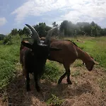 Les Gites Du Val Renoux