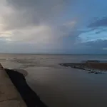 Les Galets Du Treport- Les Tournepierres