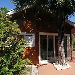 Maison Dans Une Bulle De Verdure