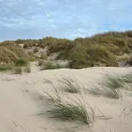 Bleu Blanc Dunes Appartement Plage Merlimont 10 Mn Berck Le Touquet