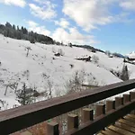 Studio - 4 Pers, Le Grand-Bornand, Commerces A Pied, Parking Couvert - Fr-1-241-216