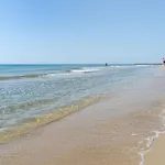 Appartement T2 Ensoleille A 2 Pas De La Plage Avec Terrasse, Parking Et Wifi Options - Fr-1-387-123