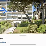Splendide Et Spacieux Appartement, Face A La Mer