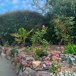 Les Hortensias
