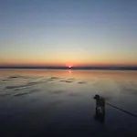 Le Crepuscule Anneville Sur Mer