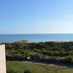 Appartement 2 Pieces Avec Parking, Terrasses, Animaux Admis A 100M De La Plage - Fr-1-225D-10