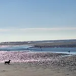 Les Vagues, Terrasse Rez-De-Ch, Parking Gratuit, Animal Bienvenu Et Tout A Pied