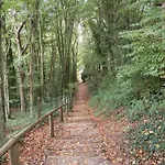 La Feuille De Chene