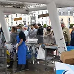 Dd24 