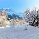 Les Fleurs De Cham - Jardin Vues - Renove