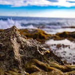 Sausset-Les-Pins, T2 Bord De Mer
