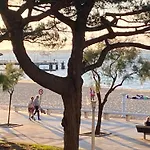 Appartement T3 Centre-Ville Arcachon, Terrasse, Parking, Wifi - Fr-1-374-71