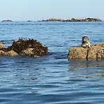 Maison De Reve En Plein Coeur De Paimpol