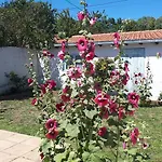 Maison De Vacances Familiale