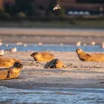 Maison Familiale En Baie De Somme A Ault