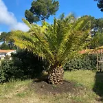 Magnifique Villa Avec Piscine A La Palmyre