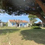 Maison 5 Pieces Pres De La Plage, Jardin Clos, 8 Couchages - Saint-Georges-D'Oleron - Fr-1-246A-175