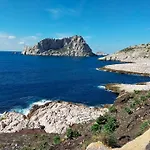 Cigalou Sous Les Pins