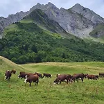 Appartement Cosy Face Aux Aravis