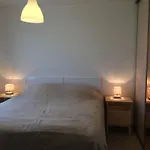 Maison Neuve Avec Jardin, Plage A 1.5Km, Animaux Acceptes, Equipements Familiaux Et Sportifs - Fr-1-336-100