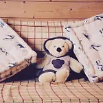 Immodreams - Le Thuya