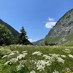 T2 Vue Sur Le Parc De La Vanoise