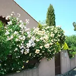 Maison De Charme A Agde Avec Jardin Et Terrasse