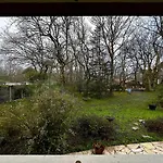 Maison Dans La Foret