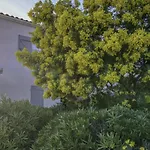 Apartment Terre Marine-1 By Interhome