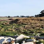 Residence G104-Ile Grande - Les Dunes Maison Avec Jardin Clos A Ile Grande Mae-3434