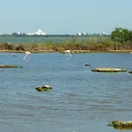 Mer Indigo & Flamants Roses 5Mn Plage Et Parc Des Expositions Arena Aeroport